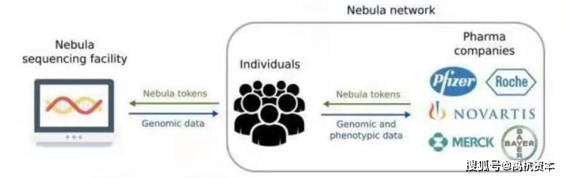 数字资产在医疗行业的潜力：如何通过虚拟货币实现高效的支付与服务_数字资产在医疗行业的潜力：如何通过虚拟货币实现高效的支付与服务_数字资产在医疗行业的潜力：如何通过虚拟货币实现高效的支付与服务